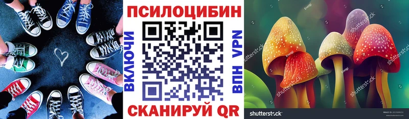 наркотики  Агидель  Галлюциногенные грибы Psilocybine cubensis 